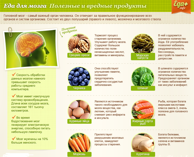 ТОП-10 полезнейших продуктов для человеческого организма - Православие.фм